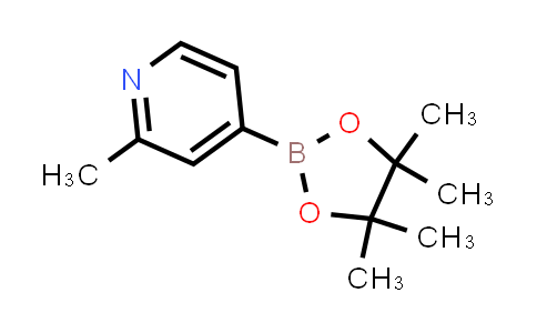 BN0672 | 660867-80-1 | 2-甲基-4-吡啶硼酸频呢醇酯