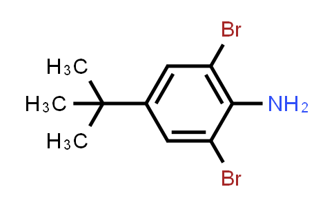 BM0633 | 10546-67-5 | 2,6-Dibromo-4-(tert-butyl)aniline