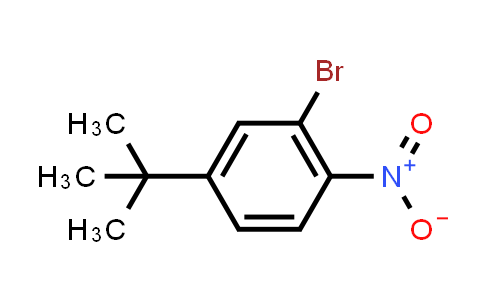 BM0735 | 70729-05-4 | 2-Bromo-4-(tert-butyl)-1-nitrobenzene