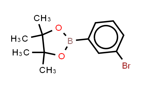 3-Bromo-(4,4,5,5-tetramethyl-1,3,2-dioxaborolan-yl)benzene