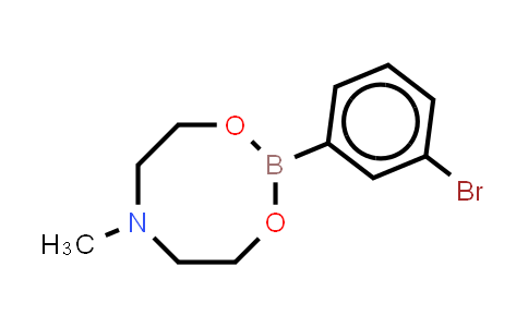 3-Bromobenzeneboronic acid n-methyldiethanolamine ester