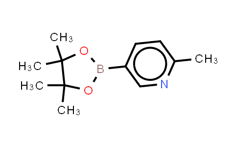 2-Picoline-5-boronic acid pinacolate