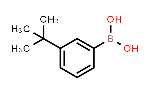 BN0806 | 560132-24-3 | M-T-BUTYLPHENYLBORONIC ACID