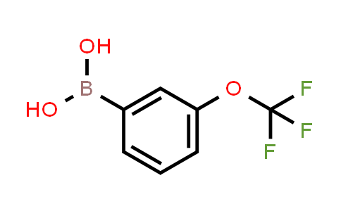 3-Trifluoromethoxyphenylboronic acid