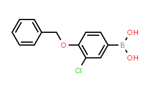 4-苄氧基-3-氯苯硼酸