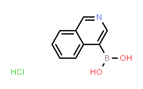 ISOQUINOLINE-4-BORONIC ACID HYDROCHLORIDE