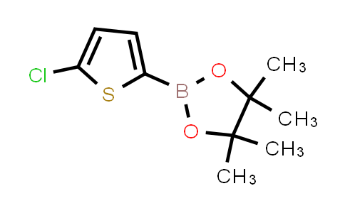 5-CHLOROTHIOPHENE-2-BORONIC ACID PINACOL ESTER