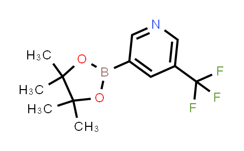 BN0974 | 1084953-47-8 | 5-Trifluoromethylpyridine-3-boronic acid pinacol ester