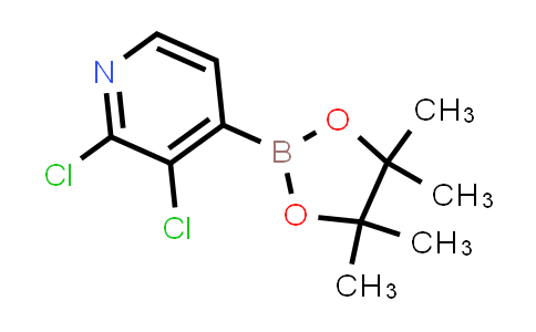 BN1113 | 1073353-78-2 | 2,3-二氯吡啶-4-硼酸频呢醇酯