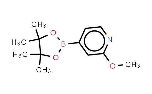 2-Methoxylypyridine-4-boronic acid pinacolate