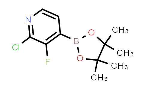 BN1165 | 1029654-43-0 | 2-Chloro-3-fluoro-4-(4,4,5,5-tetraMethyl-1,3,2-dioxaborolan-2-yl)pyridine