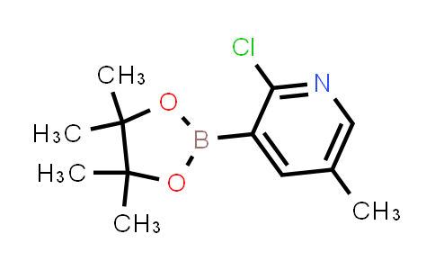 BN1172 | 1309982-62-4 | 2-Chloro-5-methylpyridine-3-boronic acid pinacol ester