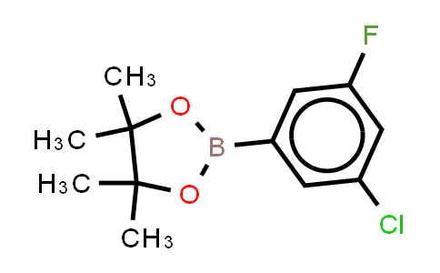 3-Chloro-5-fluoro-(4,4,5,5-tetramethyl-1,3,2-dioxaborolan-2-yl)benzene