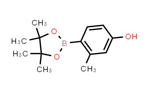 BN1287 | 946427-03-8 | 3-Methyl-4-(4,4,5,5-tetraMethyl-1,3,2-dioxaborolan-2-yl)phenol