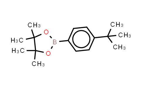 BN1291 | 214360-66-4 | 4-叔丁基苯硼酸频呢醇酯