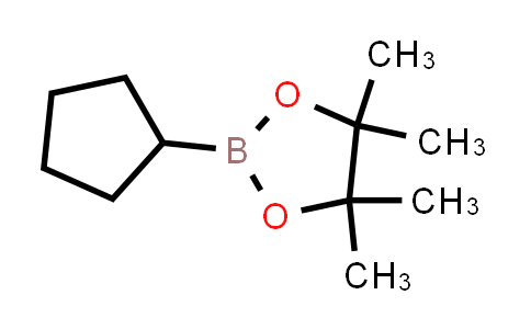 BN1336 | 66217-55-8 | 2-Cyclopentyl-4,4,5,5-tetraMethyl-1,3,2-dioxaborolane