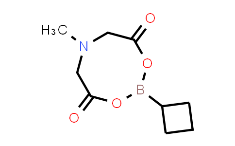 Cyclobutylboronic acid mida ester