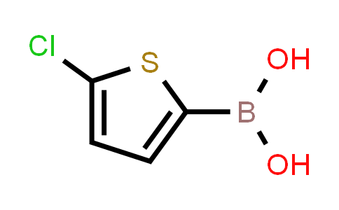 5-Chlorothiophene-2-boronic acid