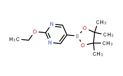 BN1555 | 1147105-68-7 | 2-Ethoxy-pyrimidine-5-boronic acid pinacol ester