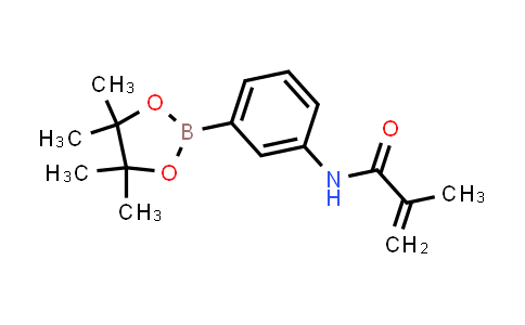 BN1563 | 1056904-42-7 | N-(3-(4,4,5,5-Tetramethyl-1,3,2-dioxaborolan-2-yl)phenyl)methacrylamide