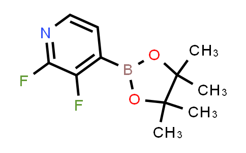 2,3-Difluoro-4-(4,4,5,5-tetraMethyl-1,3,2-dioxaborolan-2-yl)pyridine