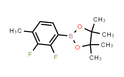 BN1576 | 1116681-99-2 | 2,3-Difluoro-4-methylphenylboronic acid pinacol ester