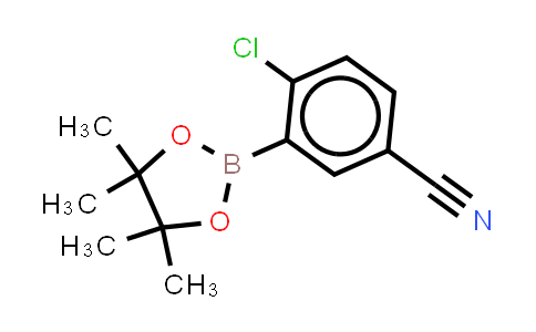 BN1584 | 863868-30-8 | 2-Chloro-5-cyanophenyl boronic acid pinacol ester