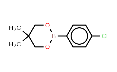 4-(5,5-Dimethyl-1,3,2-dioxaborinan-2-yl) chlorobenzene