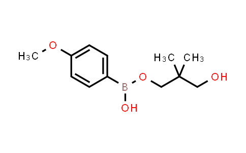 4-Methoxyphenylboronic acid 2,2-dimethyl-1,3-propanediol ester