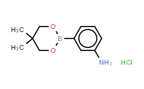 3-Aminophenylboronic acid,neopentylglycol ester,