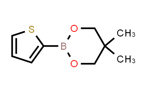 BN1645 | 355408-55-8 | 2-噻吩硼酸新戊二醇酯