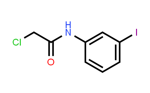 2-Chloro-N-(3-iodo-phenyl)-acetamide