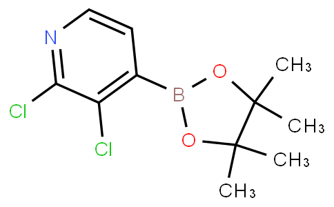 2,3-DICHLORO-4-(4,4,5,5-TETRAMETHYL-[1,3,2]-DIOXABOROLAN-2-YL)PYRIDINE