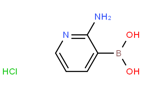 2-aMinopyridin-3-ylboronic acid hydrochloride
