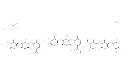 Gentamycin sulfate