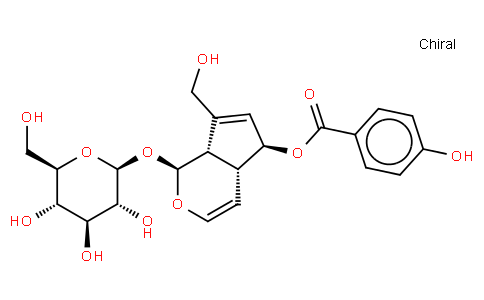 6-O-p-Hydroxybenzoylaucubin