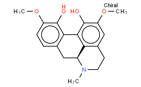 corytuberine