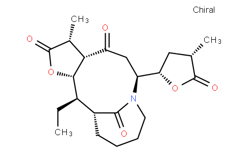 Neotuberostemone