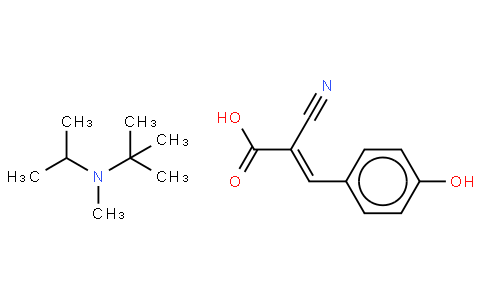 PTFE  O-ring