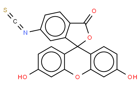 Fluorescein 6-isothiocyanate