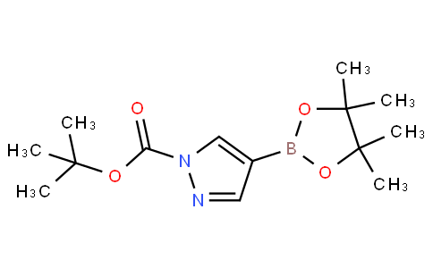 tert-Butyl 4-(4,4,5,5-tetramethyl-1,3,2-dioxaborolan-2-yl)-1H-pyrazole-1-carboxylate