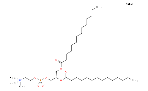Phosphatidylcholine;Dimyristoyl-Phosphatidylcholine
