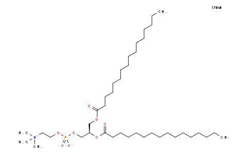 1,2-二棕榈酰-sn-甘油-3-磷酰胆碱