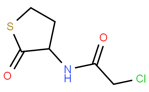 N-Chloroacetyl-DL-Homocysteine Thiolactone