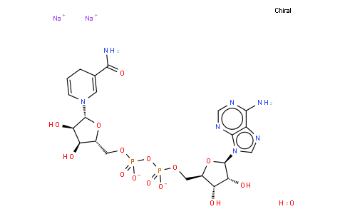 beta-Nicotinamide adenine dinucleotide disodium salt