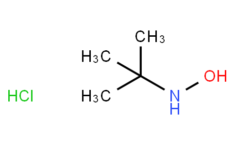 N-(Tert-butyl)hydroxylaMine hydrochloride