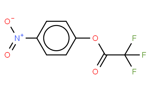 TFAONP 4-Nitrophenyl Trifluoroacetate