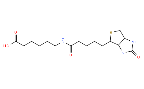 N-(+)-Biotinyl-6-aminohexanoic acid