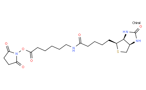 N-Succinimidyl 6-Biotinamidohexanoate