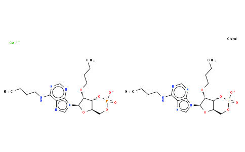 N-(9-beta-D-Ribofuranosyl-9H-furin-6-yl)-butyramide cyclic 3',5'-(hydrogen phosphate) 2'-butyrate